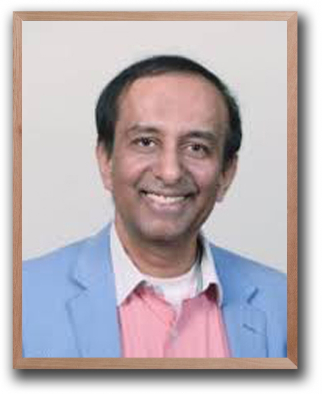 Professor  Srinivas Sampalli