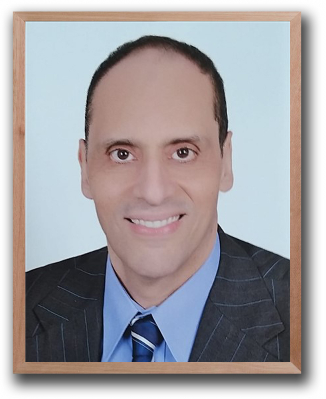 Professor Hany ElShamy