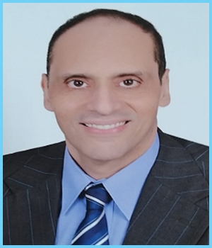 Prof. Hany ElShamy